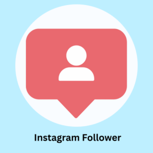 250 Instagram Follower