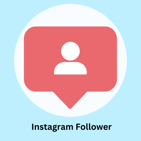 250 Instagram Follower